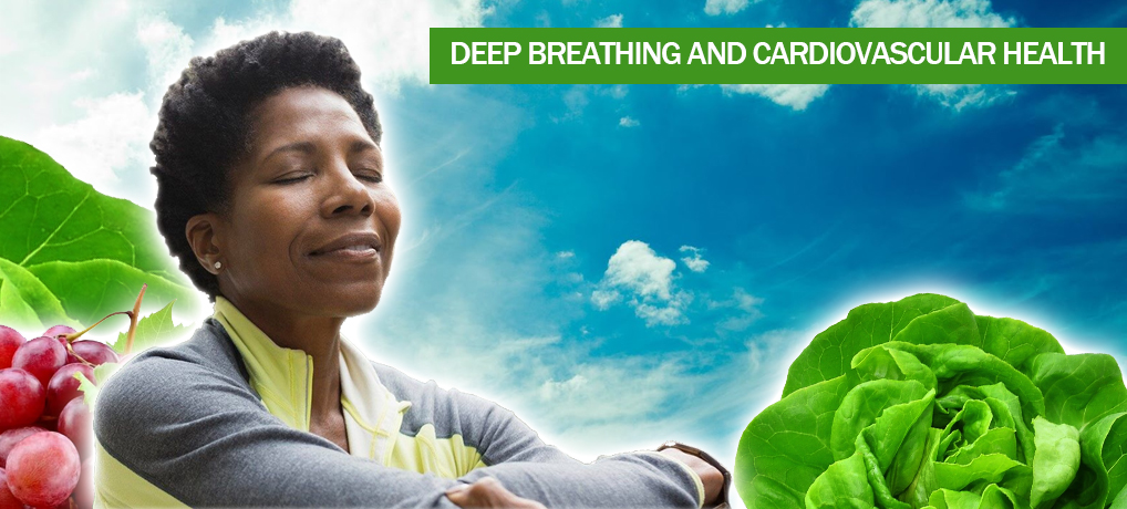 Deep Breathing and Cardiovascular Health